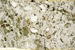 Plane Polarized, S86849