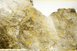 Plane Polarized, S86853