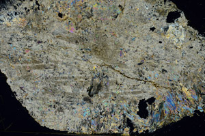 Cross Polarized, S86854