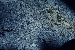 Cross Polarized, S86857