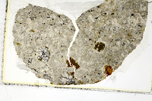 Plane Polarized, S86863