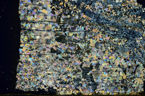 Cross Polarized, S86863/A