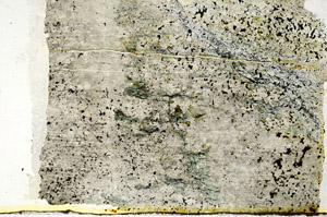 Plane Polarized, S86863/A
