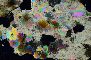 Cross Polarized, S86869