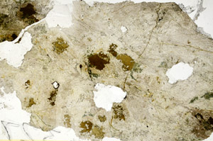 Plane Polarized, S86869