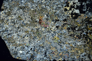 Cross Polarized, S86872