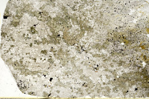 Plane Polarized, S86872