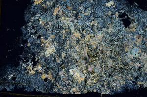 Cross Polarized, S86873