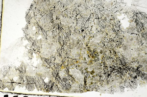 Plane Polarized, S86873