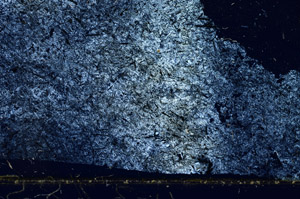 Cross Polarized, S86874