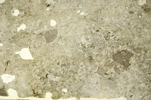 Plane Polarized, S86881