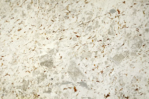 Plane Polarized, S86885
