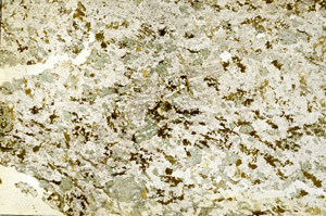Plane Polarized, S86892