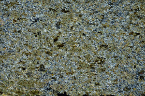 Cross Polarized, S86893