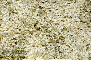 Plane Polarized, S86893