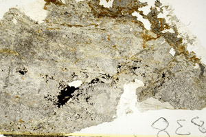 Plane Polarized, S86897
