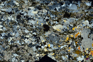 Cross Polarized, S86898