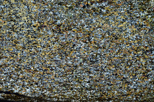 Cross Polarized, S86903