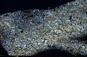 Cross Polarized, S86905
