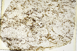 Plane Polarized, S86907