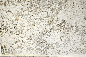 Plane Polarized, S86917