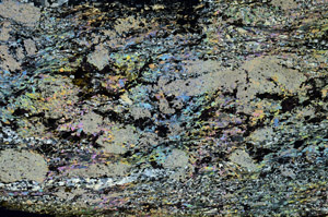 Cross Polarized, S86918