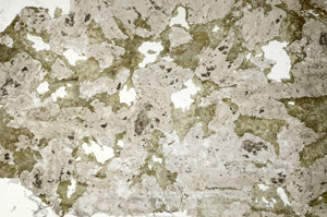 Plane Polarized, S86928