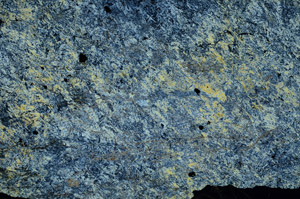 Cross Polarized, S86933