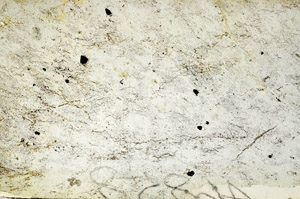 Plane Polarized, S86933