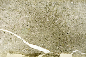 Plane Polarized, S86934