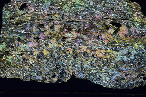 Cross Polarized, S86941