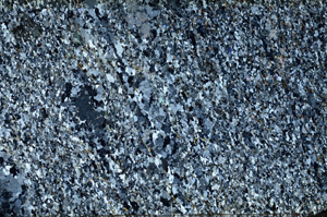 Cross Polarized, S87020