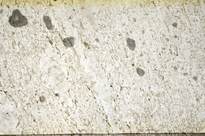 Plane Polarized, S87020