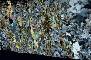 Cross Polarized, S87021