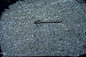 Cross Polarized, S87024