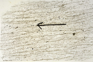 Plane Polarized, S87024