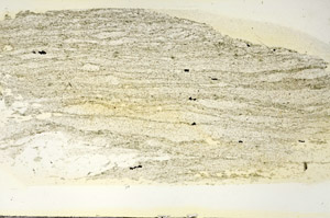 Plane Polarized, S87025