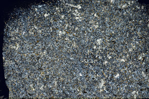 Cross Polarized, S87027