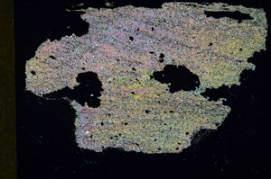 Cross Polarized, S87028