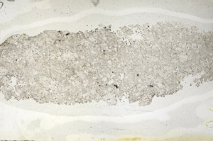 Plane Polarized, S87029