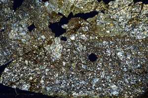 Cross Polarized, S87033