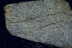 Cross Polarized, S87035