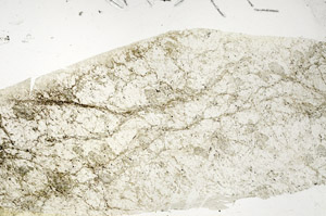 Plane Polarized, S87042