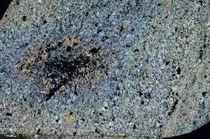 Cross Polarized, S87043