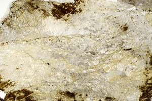 Plane Polarized, S87044