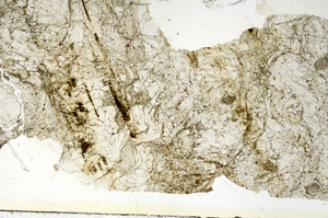 Plane Polarized, S87046
