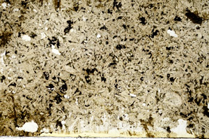 Plane Polarized, S87053