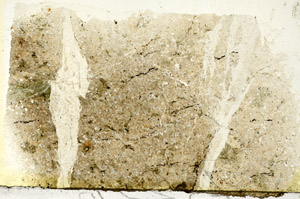 Plane Polarized, S87061