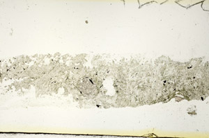 Plane Polarized, S87062