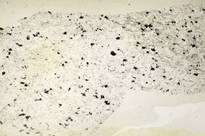 Plane Polarized, S87063